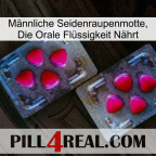 Männliche Seidenraupenmotte, Die Orale Flüssigkeit Nährt 15